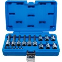 BGS   5173   Juego de puntas de vaso   entrada 6,3 mm (1/4") / 12,5 mm (1/2")   perfil en T (para Torx)   18 piezas