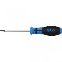 BGS | 7849-T25 | Destornillador | perfil en T (para Torx) con perforación T25 | Longitud de cuchilla 100 mm