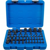 BGS | 9839 | Juego de puntas de vaso y llaves de vaso | Perfil E / perfil T (para Torx) / perfil T (para Torx) con orificio / perfil TP (para Torx Plus) | 52 piezas